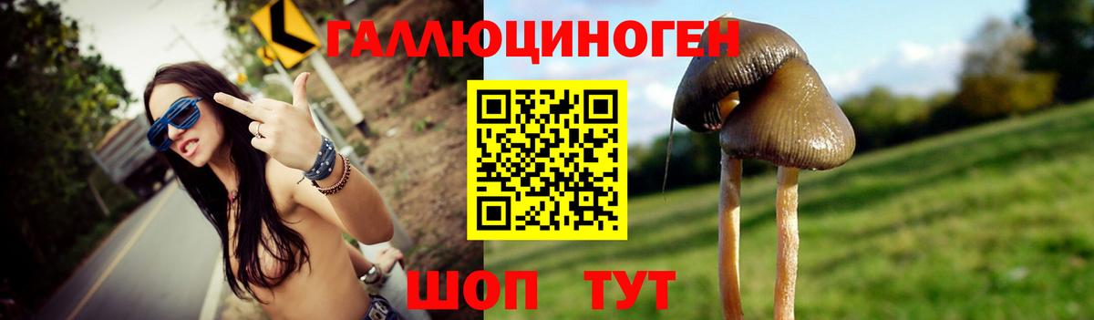 Новодвинск  Галлюциногенные грибы MAGIC MUSHROOMS  Вход с VPN 