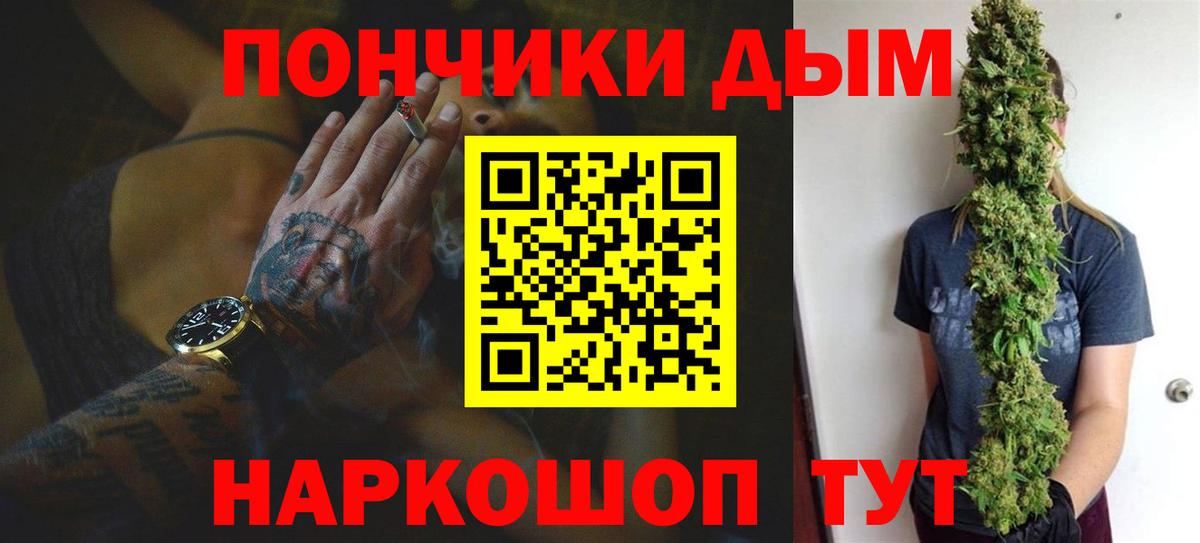  COCAIN Новодвинск